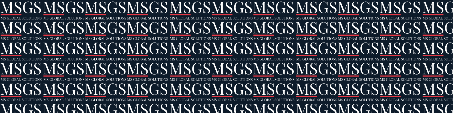 About MS Global Solutions